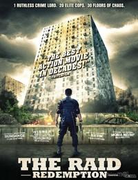 The Raid (2011)