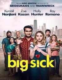 The Big Sick (2017)