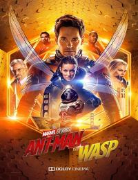 Ant-Man et la Guêpe (2018)