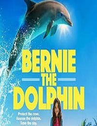 Bernie The Dolphin