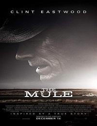 The Mule