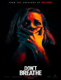 Don't breathe: La Maison des ténèbres (2016)